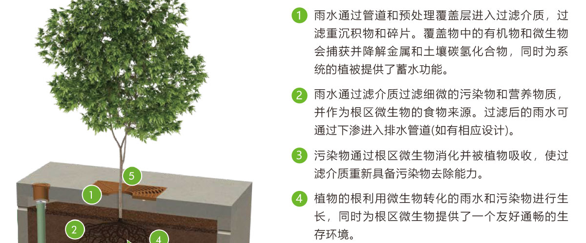 低影響開(kāi)發(fā)理念綠色設(shè)施,LID理念綠色設(shè)施,智慧雨洪管理方案,智慧雨洪管理系統(tǒng),華南泵業(yè)