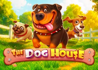 g2gเว็บตรง วอเลท The Dog House ทดลองเล่นฟรี